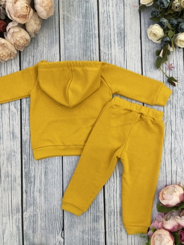 311-А. Свитшот с капюшоном + Штаны, хлопок 65%, 35% ПЭ, 3-х нитка ( без начеса) апельсин 98,104,110,116